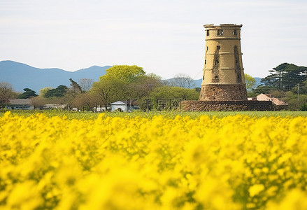 花田ppt背景图片_一座古老的塔楼坐落在黄色花田中