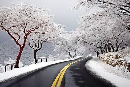 一条红色的蜿蜒道路，有很多雪