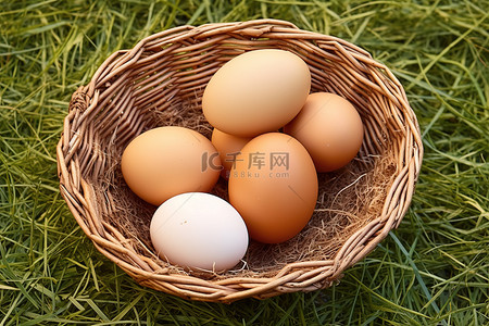 草篮子背景图片_篮子里的鸡蛋 照片