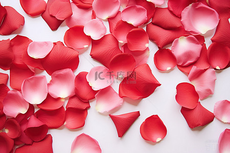 红色玫瑰花瓣背景背景图片_桌面背景上的红色玫瑰花瓣