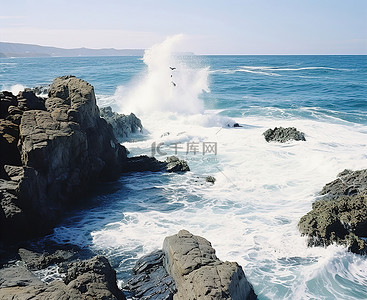 海鸥背景图片_岩石峭壁和海浪拍打