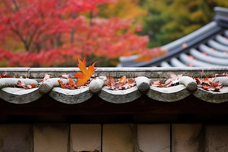 屋顶水背景图片_石头建筑的灰烬屋顶，叶子变色