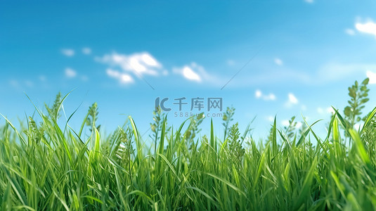 3D 渲染的风景如画的图像，郁郁葱葱的绿草和清澈的蓝天