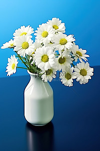 白色雏菊花瓶和蓝色蓝光