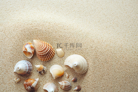 沙滩上的贝壳和海水
