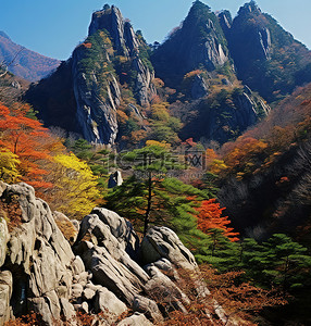 小枫叶背景图片_秋天的落叶中，山脉高耸在小山谷之上