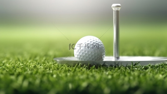 新开始 3D 插图白色高尔夫球和 T 形销在绿草场中，有选择的焦点