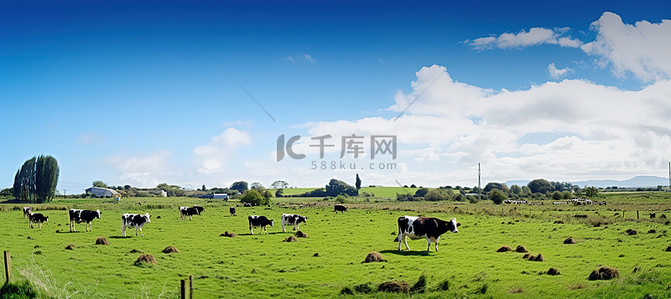牧场餐厅背景图片_牛羊在开阔的沙漠中吃草