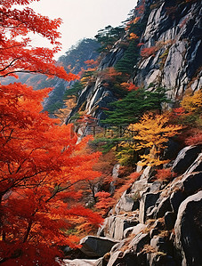 落基山背景图片_一座红叶落基山上覆盖着橙叶