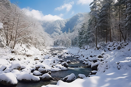 日本北部山区河流的雪