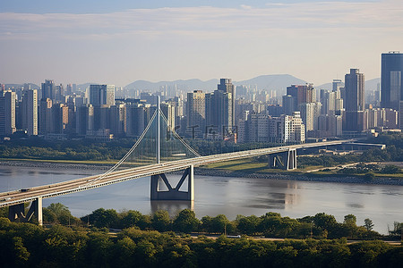 杨浦滨江背景图片_一座城市有一座大型摩天大楼一座桥梁和树木