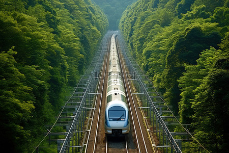 看法树木背景图片_火车在靠近树木的铁轨上行驶