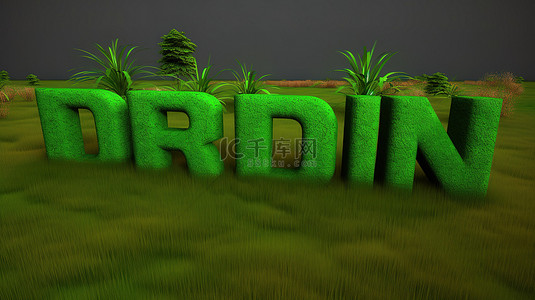 郁郁葱葱的绿草背景下的 3D 孤立印度词