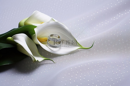 婚礼卡片背景图片_婚礼上白色面纱上带戒指的马蹄莲花