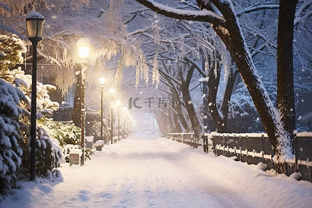 冬天树木雪景背景图片_街道被雪覆盖，没有雪和树木