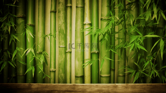 竹子森林绿色自然背景
