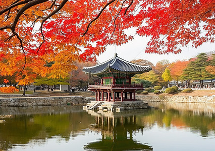 膳食宝塔背景图片_首尔城市公园的宝塔和红叶