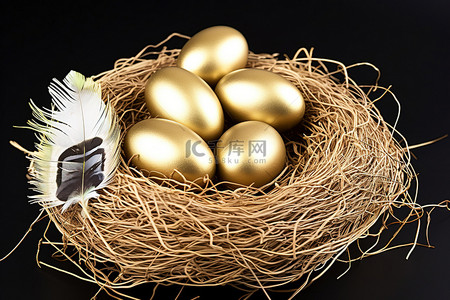 代表金钱标志的金蛋坐落在棕色羽毛中