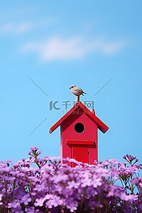 有规律的花坛背景图片_蓝天紫色花坛上的红色小鸟舍