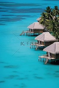 热带树木背景图片_小屋高高地浮在水面上