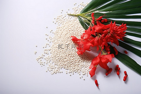 红色的花，种子和胡椒