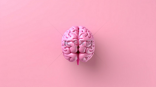 头脑风暴大脑创意背景图片_粉红色背景下大脑顶视图的简约 3D 渲染