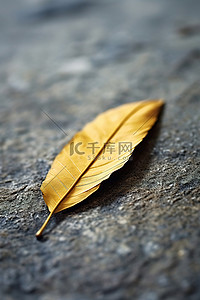 秋天落叶枫叶背景图片_石地板上的黄叶