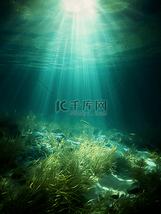 海水日光光线海底世界珊瑚植物广告背景