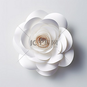 一朵白色的纸花显示在白色的表面上