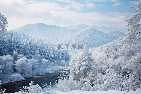 冬季山背景图片_中国雪山景观和冬季森林的图像结果
