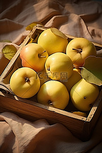 枫叶中背景图片_木托盘中的一盘苹果