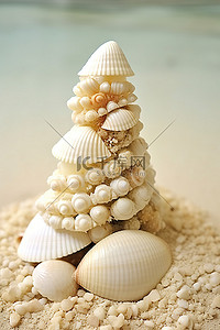 沙子上的海带和白壳堆