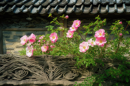 仁背景图片_花儿开了