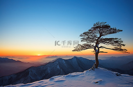 山脉背景背景图片_一棵树坐落在白雪覆盖的山顶上
