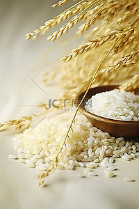 黃金大米