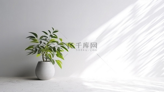 3D 渲染白墙背景与阳光和树叶阴影的空墙概念