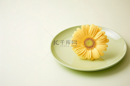 菊花绿色背景图片_绿色盘子上的黄色花