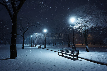 的公园背景图片_晚上的公园有树长凳和雪