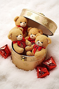 泰迪熊放在深雪中的金盒子上