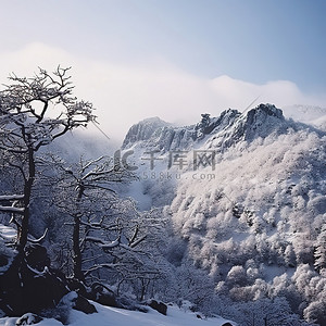 山上的雪景，有一些树木和山脉