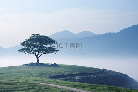乡村的早晨背景图片_山地风光的乡村生活 山地乡村的孤树