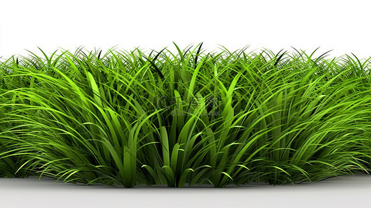 郁郁葱葱的 3D 渲染青翠的草坪