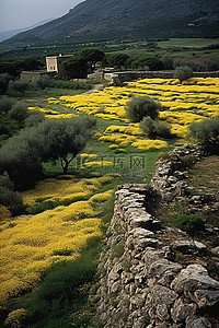 欧洲希腊背景图片_希腊克里特岛普蒂纳古镇