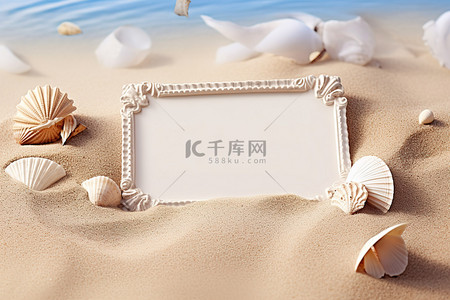 海滩上有白色框的贝壳的照片