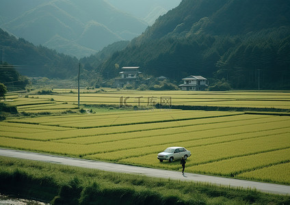 一辆汽车正沿着一些稻田行驶到附近的山上