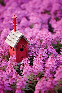 有规律的花坛背景图片_鸟舍坐落在紫色的花坛上
