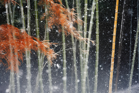 雪中树背景图片_雪中​​的竹树