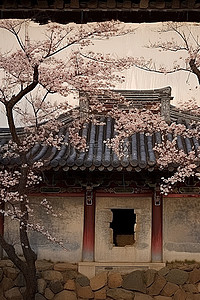 花仙子动图背景图片_一栋韩国石头建筑，顶部附近有一些樱花