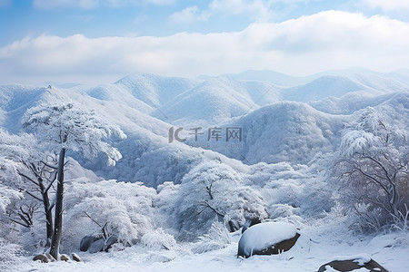 中国天气背景图片_中国雪山景观和冬季森林的图像结果