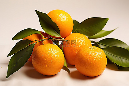 水果免费背景图片_树枝上的橘子 免费 png 格式的橘子